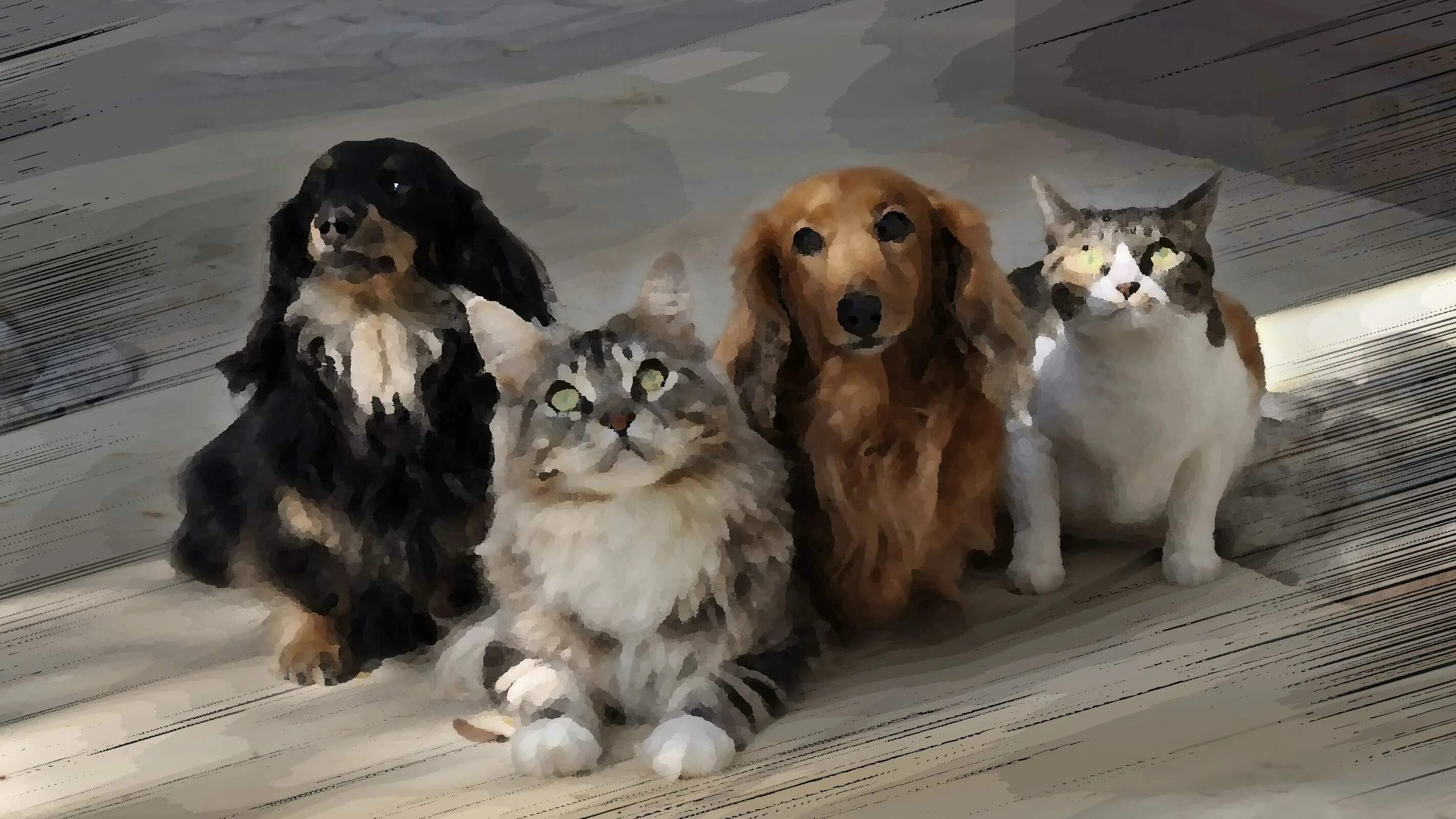 Good pets than dogs. Кошки и собаки. Собака и кошка вместе. Кот и собака дружат. Фото кошек и собак.