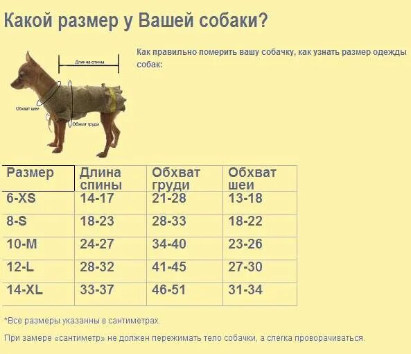 Сколько грамм овчарки. Размерная сетка для собак мелких пород чихуахуа. Размерная сетка для собак мелких пород той терьер. Таблица размеров одежды для собак мелких пород чихуахуа. Размерная сетка для собак мелких пород Цвергпинчер.