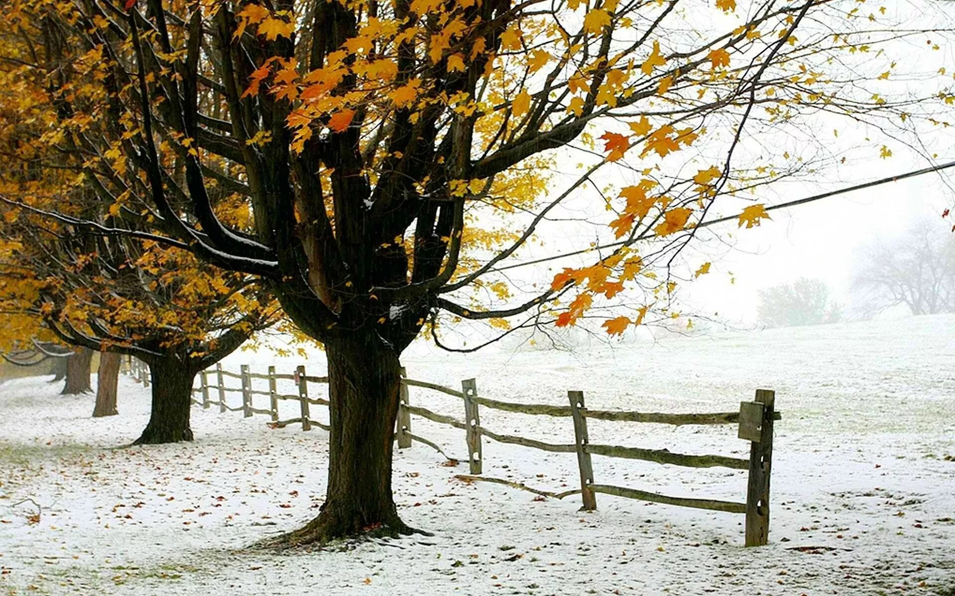 Март это осень. Ноябрь природа. Ранняя зима. Поздняя осень. Конец осени.