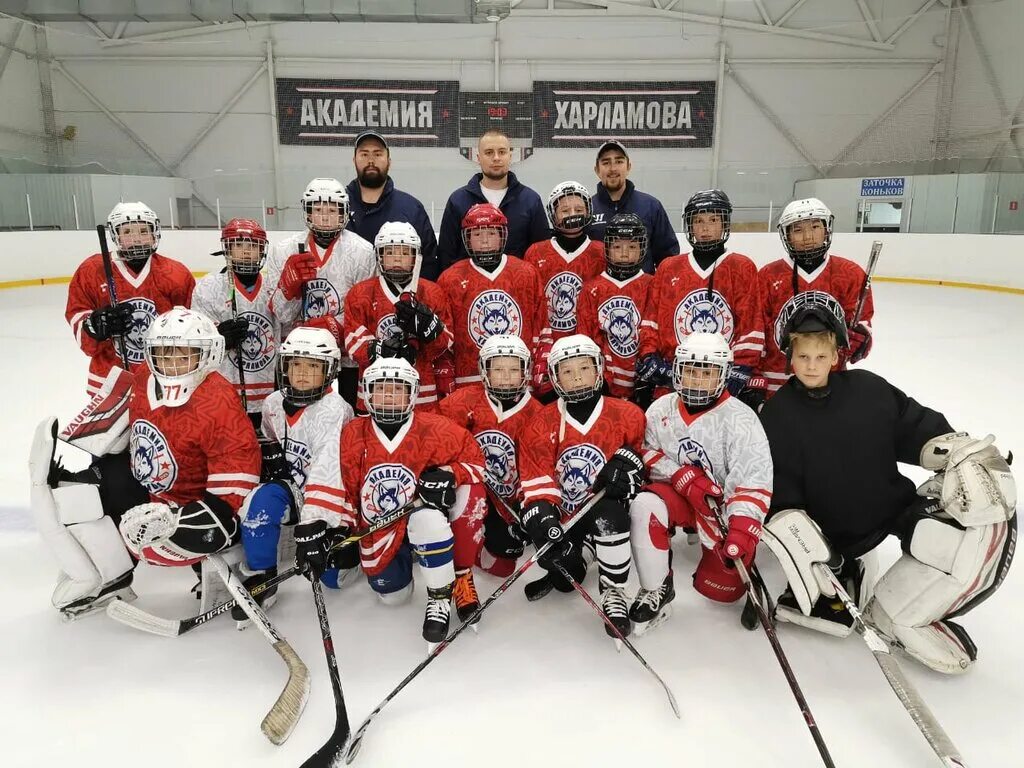 куранов тимофей хоккей 2011. хоккей команда академия харламова 2011. хк созвездие воронеж 2006. хк академия харламова 2010. академия харламова.