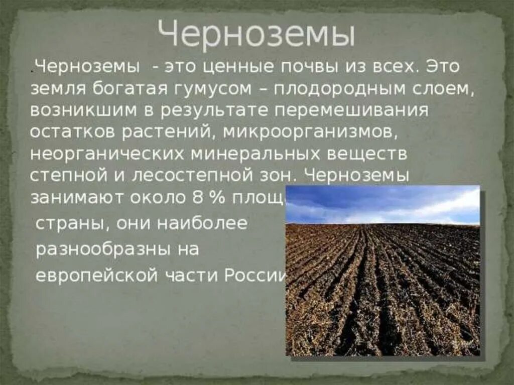 Главное богатство железные руды и плодородные почвы. Сообщение о почве чернозём. Доклад про почву. Сообщение о черноземной почве. Проект на тему почва.