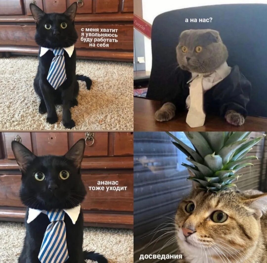 Открытка было приятно с вами работать. Ну теперь поработаем. Спасибо за совместную работу. Картинки когда на работу. Шахтерский юмор.