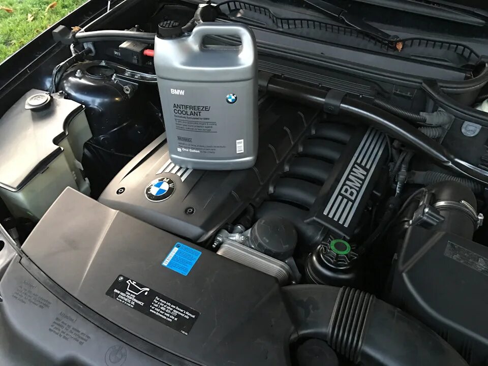 Бмв х1 антифриз какой. Антифриз бмв х3 е83. охлаждающая жидкость bmw x3. гордовина антифриз bmw x1 sdrive18i. антифриз bmw x6.