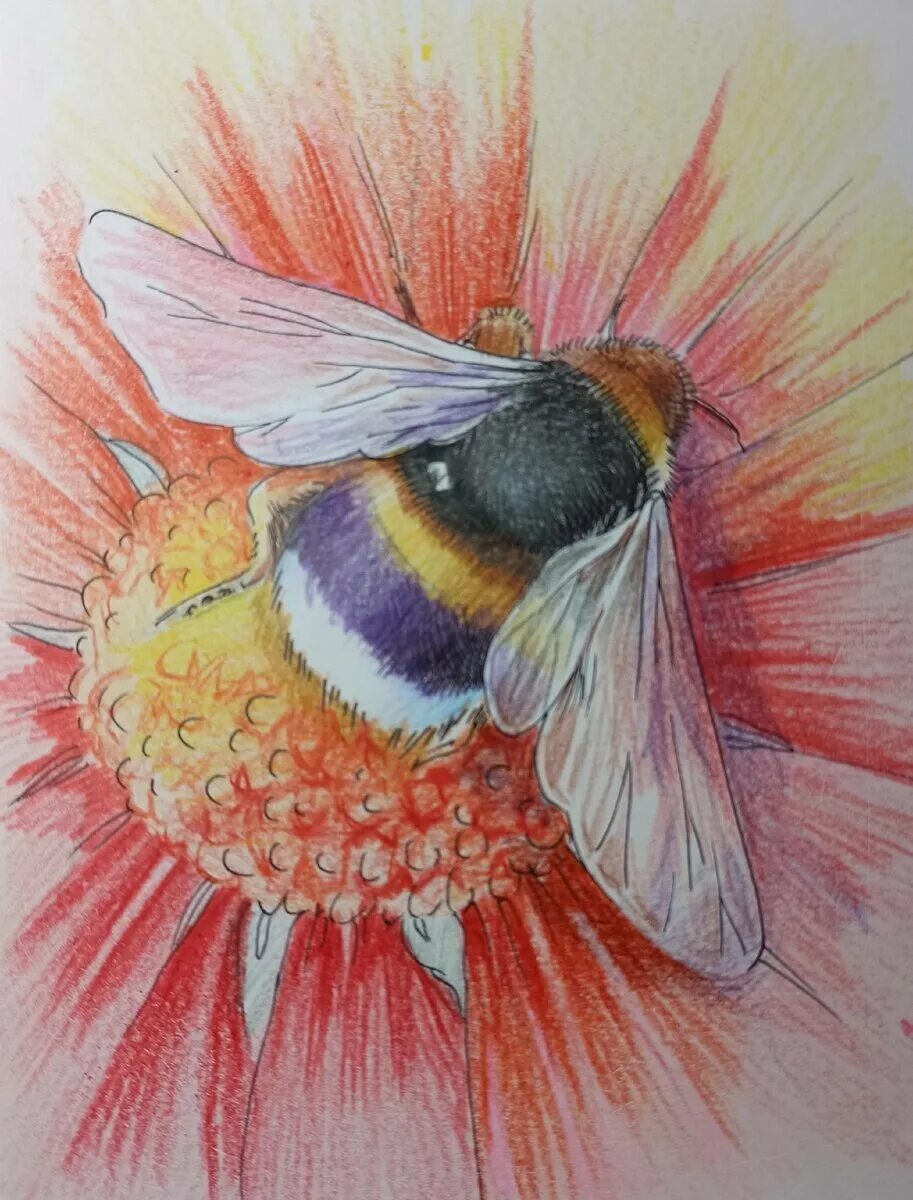 Полет шмеля нарисовать. Полет шмеля рисунок. Полет шмеля рисунок. Полет шмеля рисунок. Стилизованный шмель в динамике.