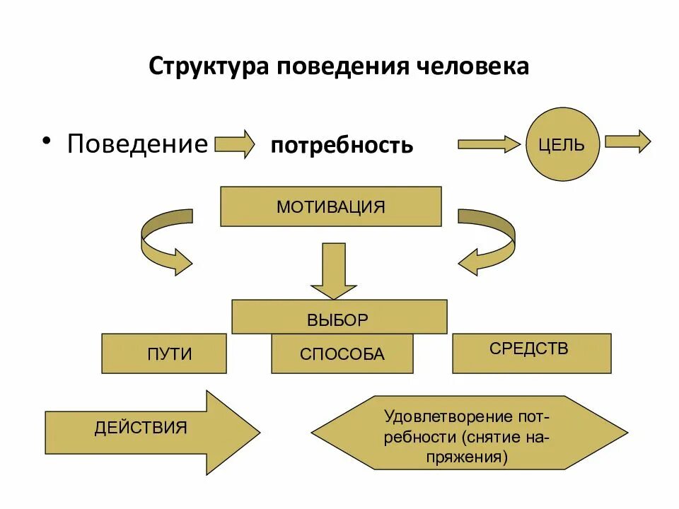 Психологические основы поведения людей