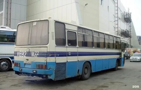 Автобус заринск