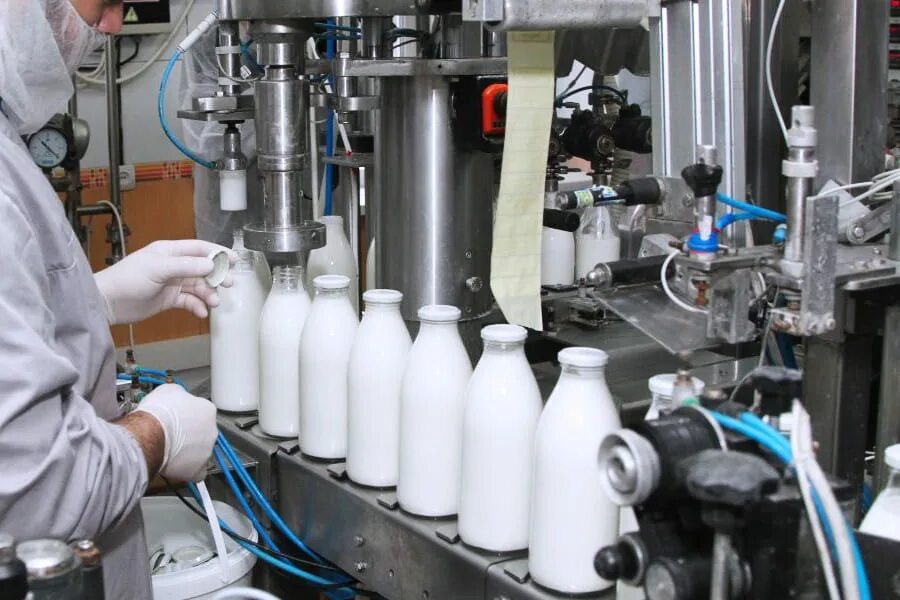 Как перерабатывать молочную продукцию