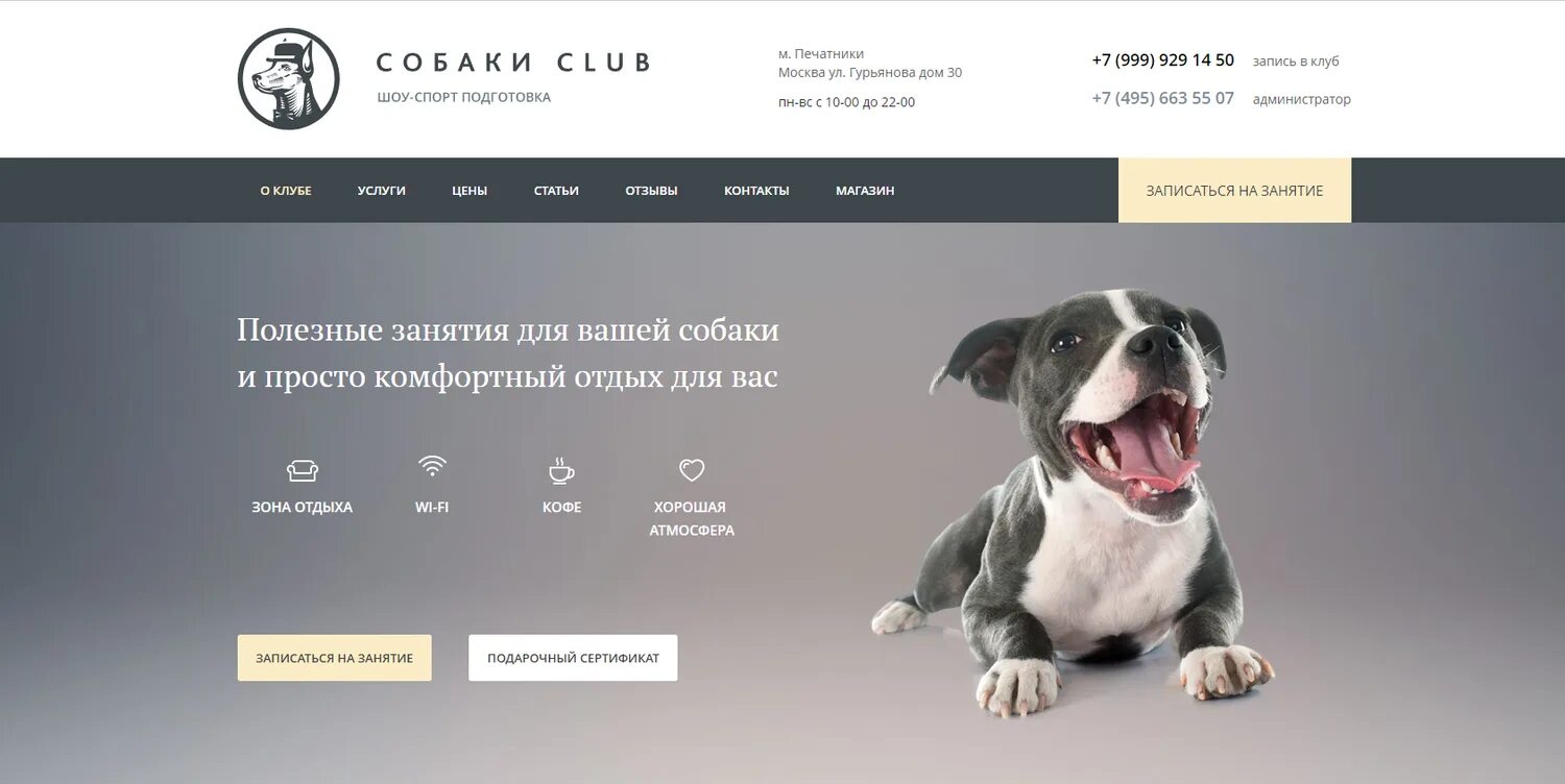 Российские сайты примеры