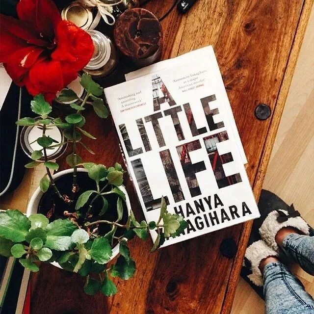 Little life book. Янагихара маленькая жизнь. Маленькая жизнь Ханья Янагихара Джуд. Маленькая жизнь Янагихара книга.