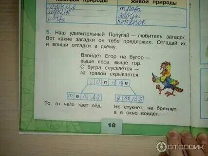 Отгадай загадку от чего тает лед. Отгадай загадку от чего тает лед