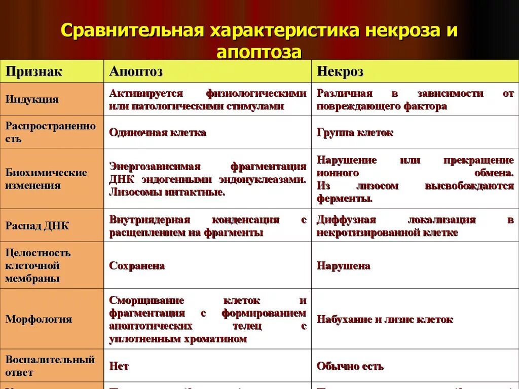 Признак и свойство различие. Сравнительная характеристика некроза и апоптоза. Характеристика некроза и апоптоза. Характеристика некроза. Сравнительная характеристика некроза и апоптоза таблица.