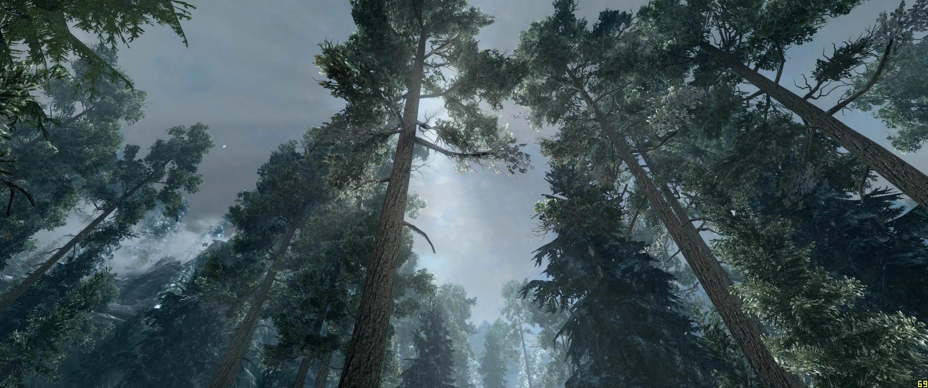 Skyrim se flora. Skyrim flora overhaul. flora overhaul для skyrim se. скайрим мод на деревья. skyrim ретекстур сосны.