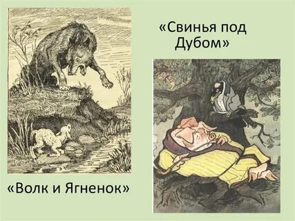 Дуб волк