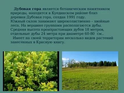 Дубовая гора