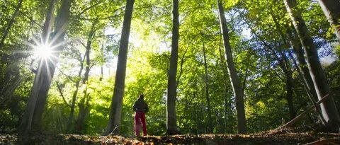 Are you interested in the environment