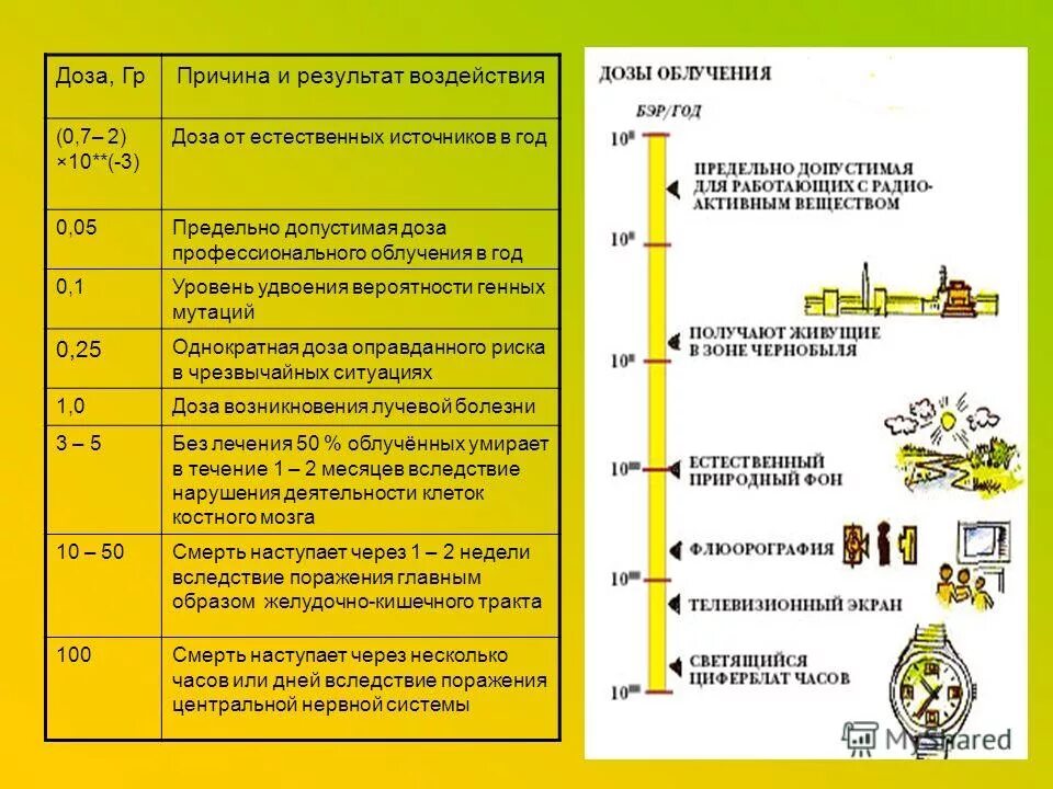 смертельная доза радиации для человека. додралиации для человека. максимальное облучение в год. предельно допустимые дозы облучения радиацией. максимальное облучение в год.