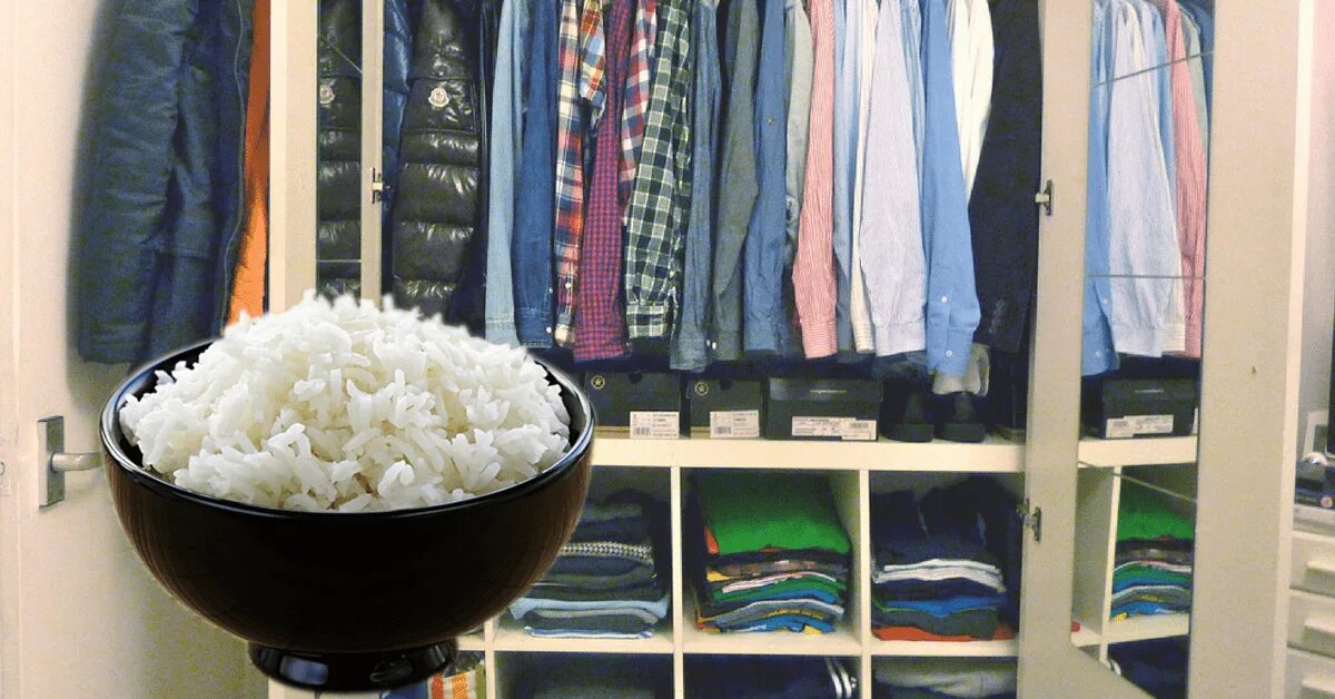 Рис от влаги в шкафу. Поставьте чашку с рисом в шкаф. Класть рис в шкаф. Шкаф с чашами. Плесень в шкафу