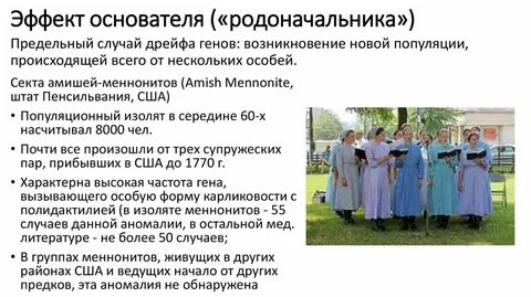 Принцип основателя