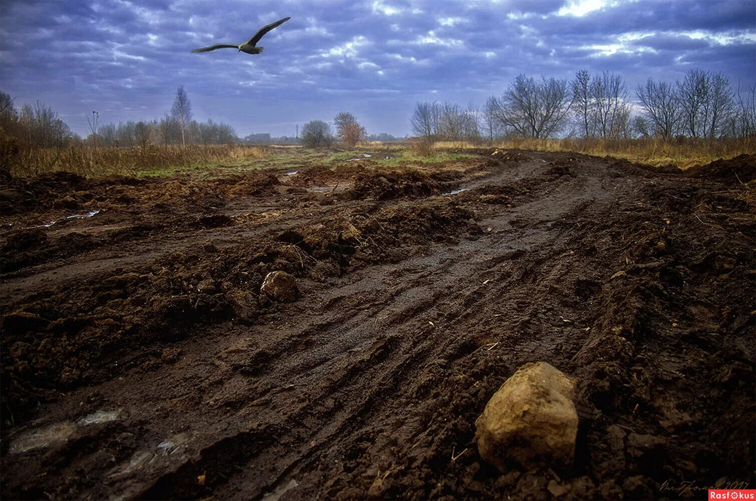 Холода тревоги да степной туман. Пыльная дорога. Распутица. Пыль дороги. Эх, дороги!.