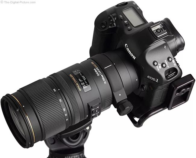 Sigma 70 200mm f 2.8. Sigma 70-200 f2.8 II ex apo DG. Sigma apo DG 70-200 Canon. Sigma 70-200 f/2.8 apo. Sigma 70-200 f2.8 ex apo DG.