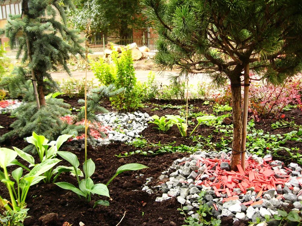 сад сургановой с. сад коллекционных растений белгород интернет. сад коллекционных растений. парк сокольники большой розарий. в.