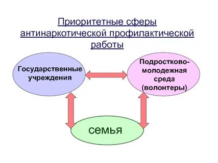 Молодежная среда ответы