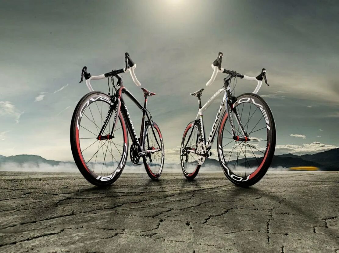 Bicycles are the most