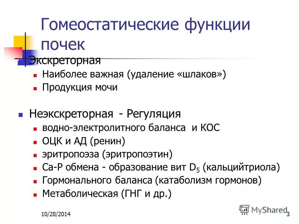 Основная гомеостатическая функция почки