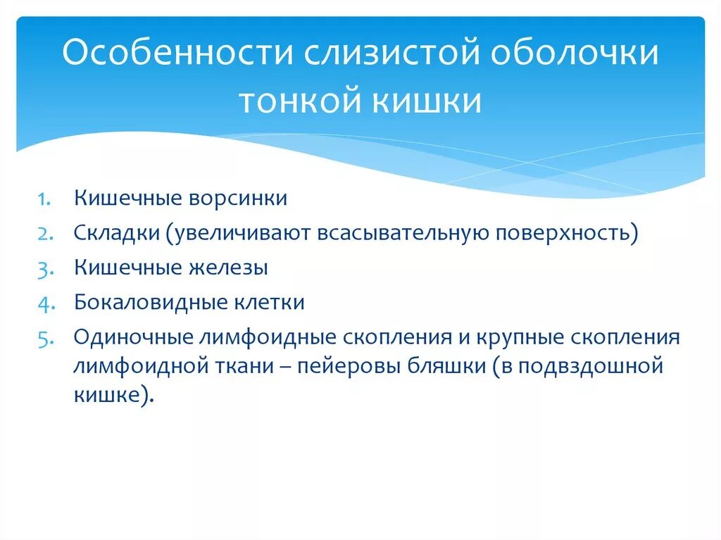 Свойства слизистых оболочек. Особенности строения слизистой тонкого кишечника. Особенности строения слизистой оболочки тонкого кишечника. Особенности строения слизистой тонкой кишки. Особенности слизистой оболочки тонкой кишки.