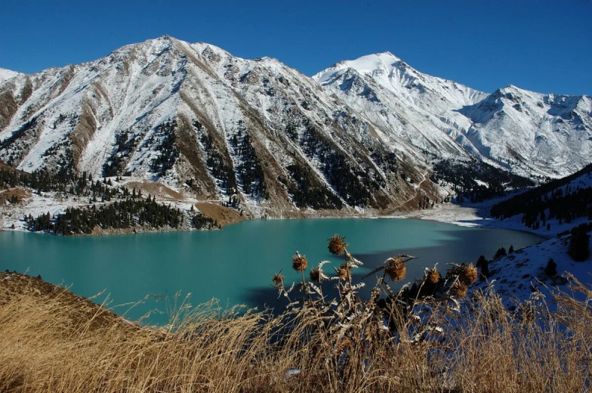 Чудеса природы казахстана. Казахстан природа. Казахстан горы. Пейзажи Казахстана. Казахстан красоты природы.