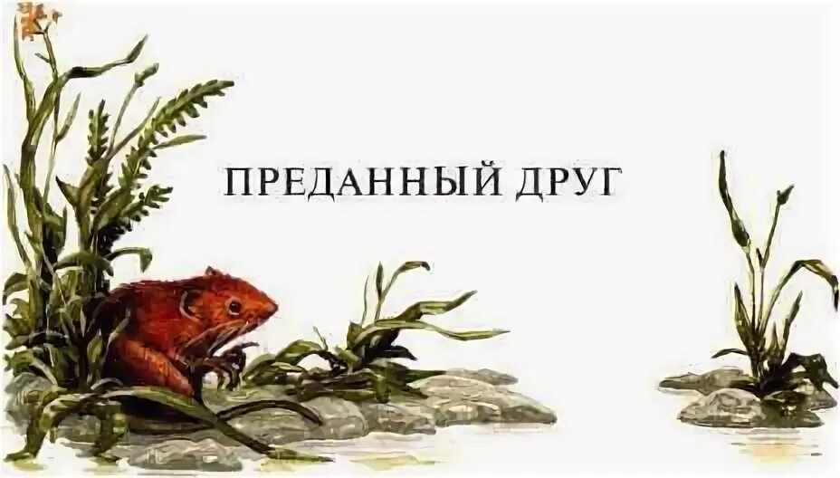 Преданный друг сказка. Преданный друг сказка оскара уайльда. Сборник рассказов о собаках верный друг. Преданный друг сказка. Преданный друг оскар уайльд иллюстрации.