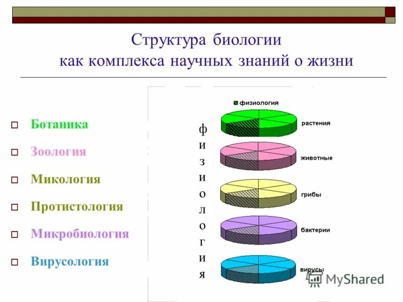 Структура биологии