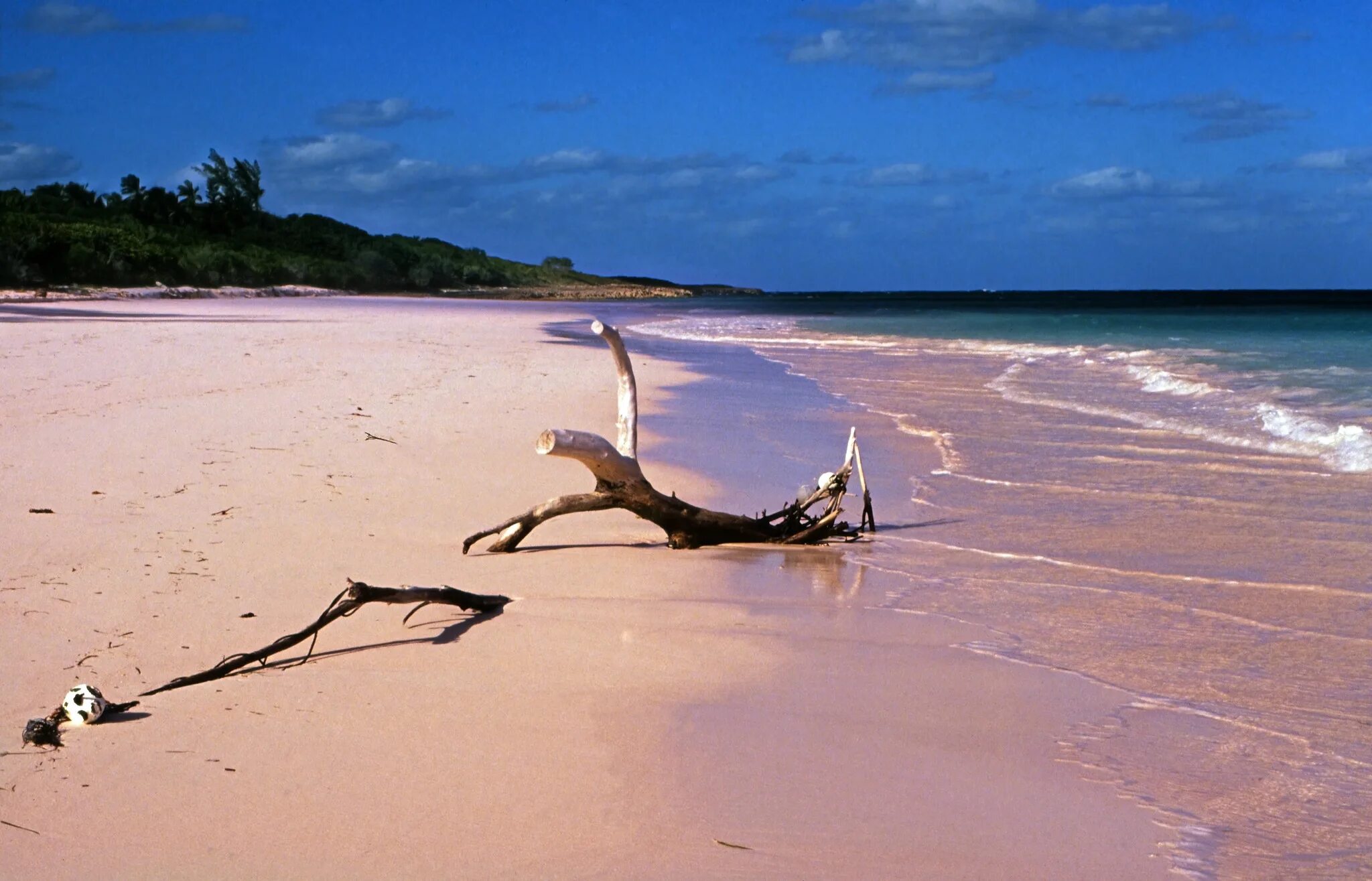 Pink Sands Beach Багамские острова. Харбор Айленд Багамы. Багамские острова розовый пляж. Харбор Багамы розовый пляж. Harbor island