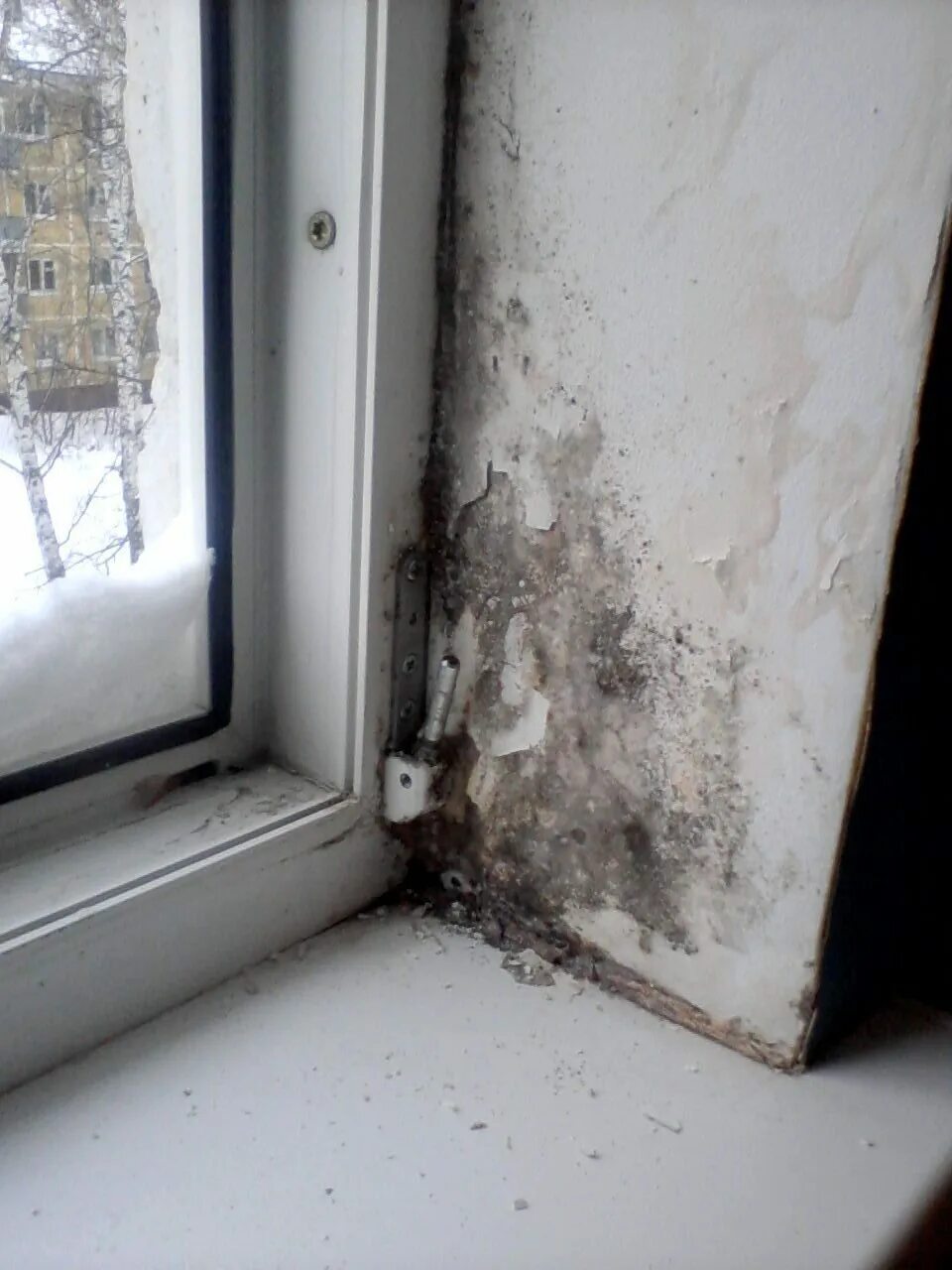 темнеют откосы на пластиковых окнах. потемнели пластиковые откосы. грибок на оконных откосах. пластиковые откосы потемнели. оконные откосы прямые или развернутые.