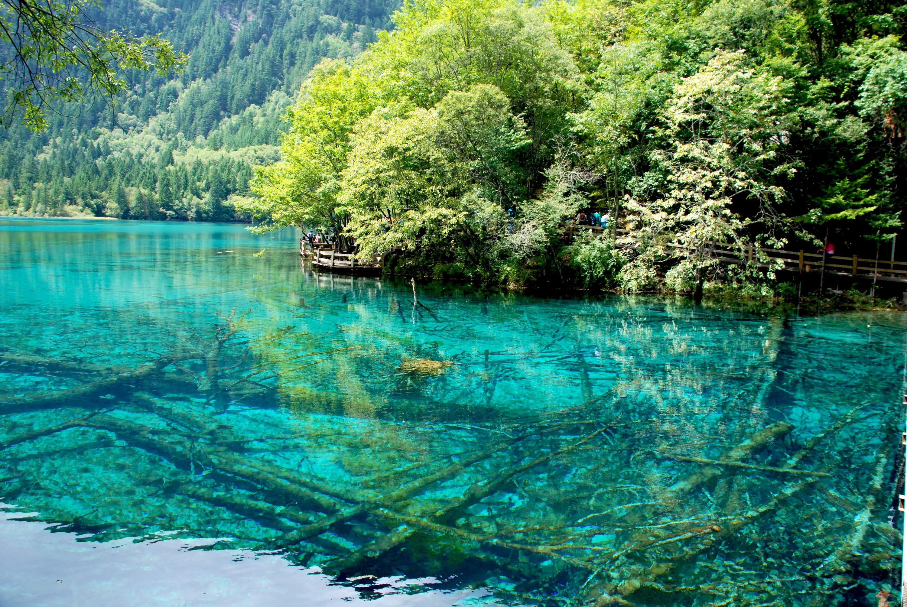 Lake colour. Долина Цзючжайгоу Китай. Озеро Панда Цзючжайгоу. Долина Цзючжайгоу Китай зима. Цзючжайгоу зимой.