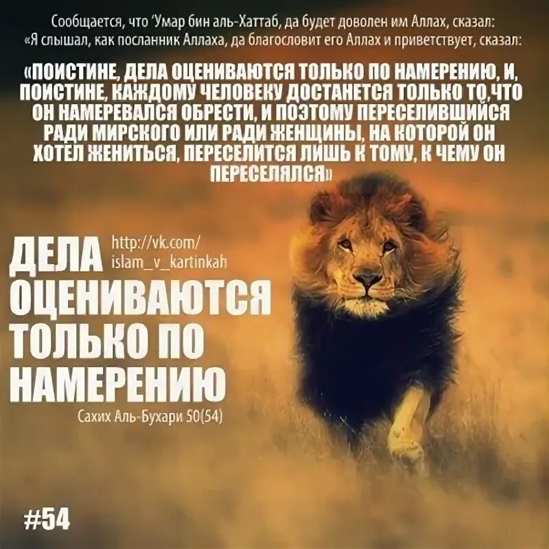 Оценивается по намерению