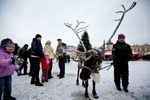Гатчина новогодние праздники