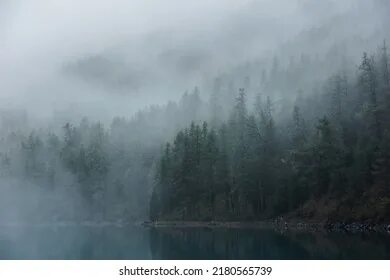 Dim nature