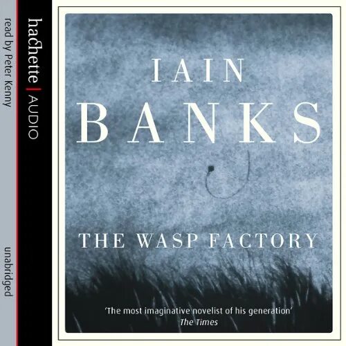 Фабрика аудиокнига слушать. Banks Iain "the Wasp Factory". The Wasp Factory book. Иэн Бэнкс. Иэн Бэнкс осиная фабрика арт.