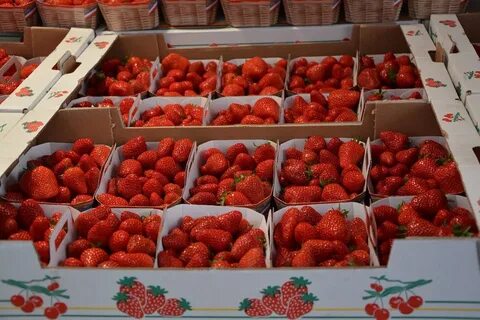 Продам клубнику свежую