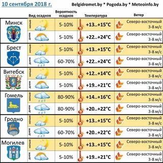 Почасовой прогноз погоды в гомеле на завтра