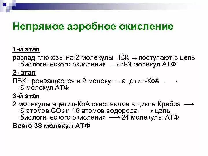 Стадии аэробного окисления Глюкозы. Этапы аэробного окисления Глюкозы. Основные этапы аэробного непрямого окисления Глюкозы. Этапы аэробного окисления. 3 этап окисления глюкозы