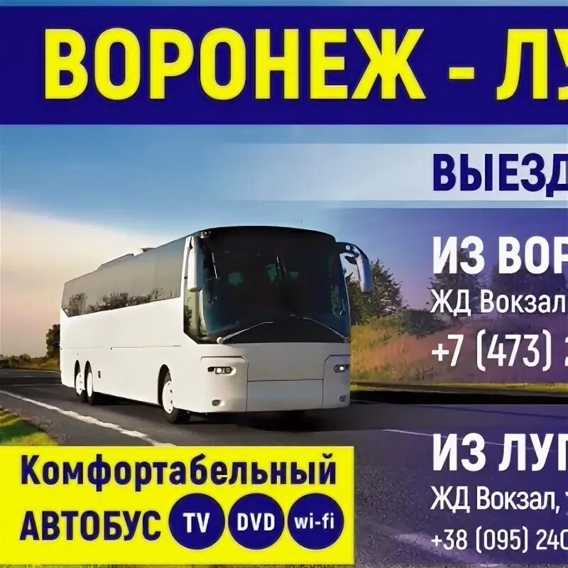 Воронеж-луганск автобус расписание. Воронеж-луганск автобус расписание. Трансрейс воронеж автобусы. Автобус воронеж луганск центральный автовокзал. Расписание автобусов луганск воронеж с автовокзала.