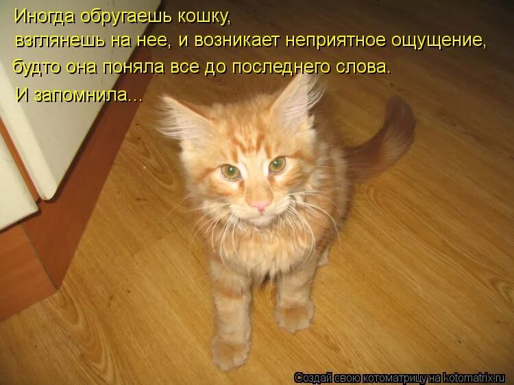 Запах изо рта у ребенка 4 года гастрит. Произошел неприятный. Произошел неприятный. Неприятный запах изо рта причины. Произошел неприятный.