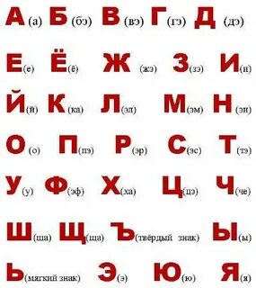 Ең үлкен әйел қынабы