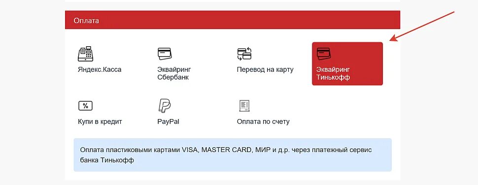 Что можно оплатить пушкинской картой. Что можно оплатить пушкинской картой