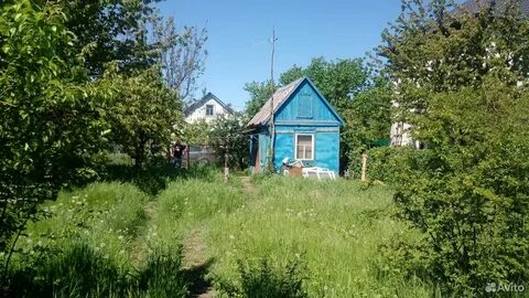 Сот 4