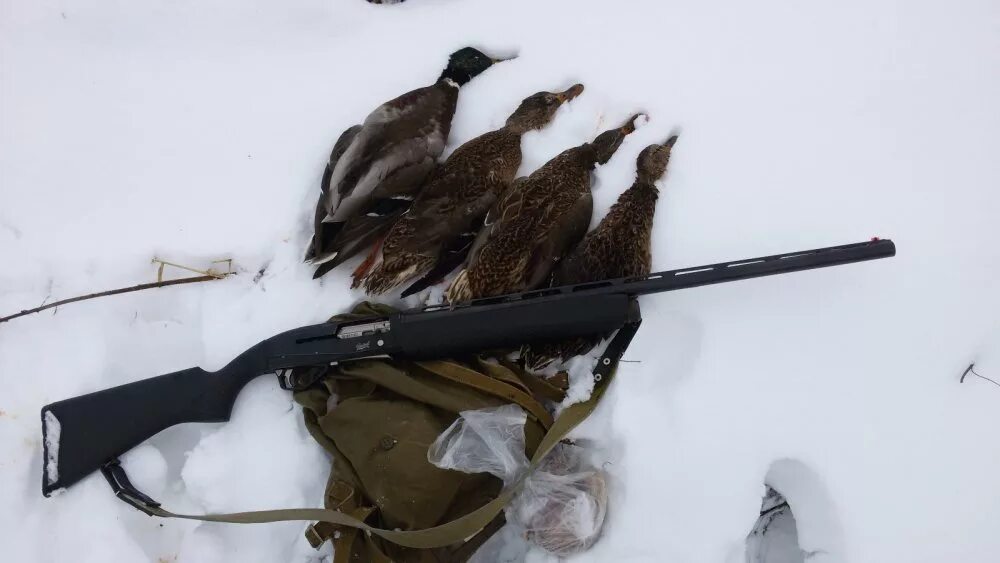 охотник рыбалка. щука на охоте. охотники и рыбаки заполярья. датчик тоталскан эхолота лоуренс. советское снаряжение для охоты.