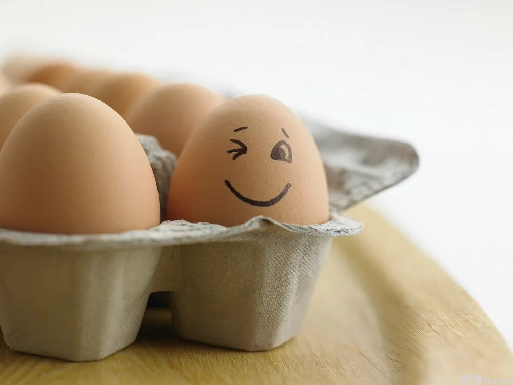 Глупые яйца. Яйца прикол. Яйцо семшное. Яйца смешные картинки. Забавные пасхальные яйца.