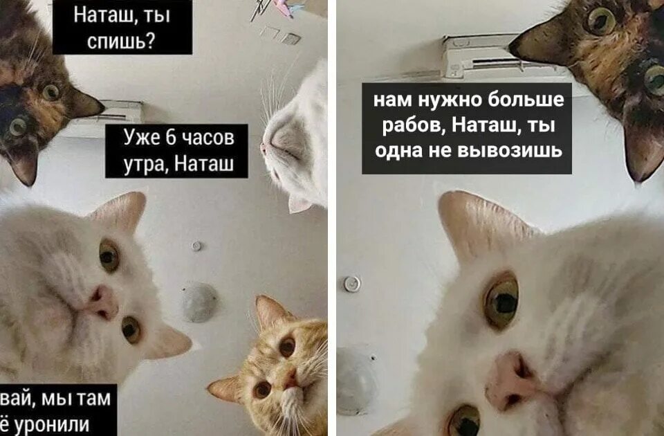 Нужно же было это точное и мелочное